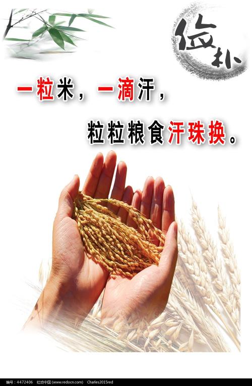 西北大学现代学院毕业证补办